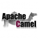 Apache Camel Schulungen in Österreich