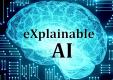Explainable AI (XAI)