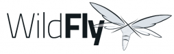 Wildfly Schulungen in Österreich
